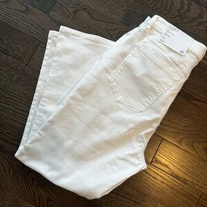 LOFT High Rise Kick Crop Curvy